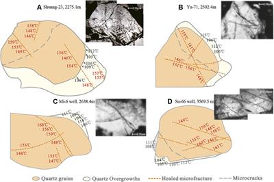 Hydrocarbon Charge History of the Upper Paleozoic, Ordos Basin as Revealed by Fluid Inclusions